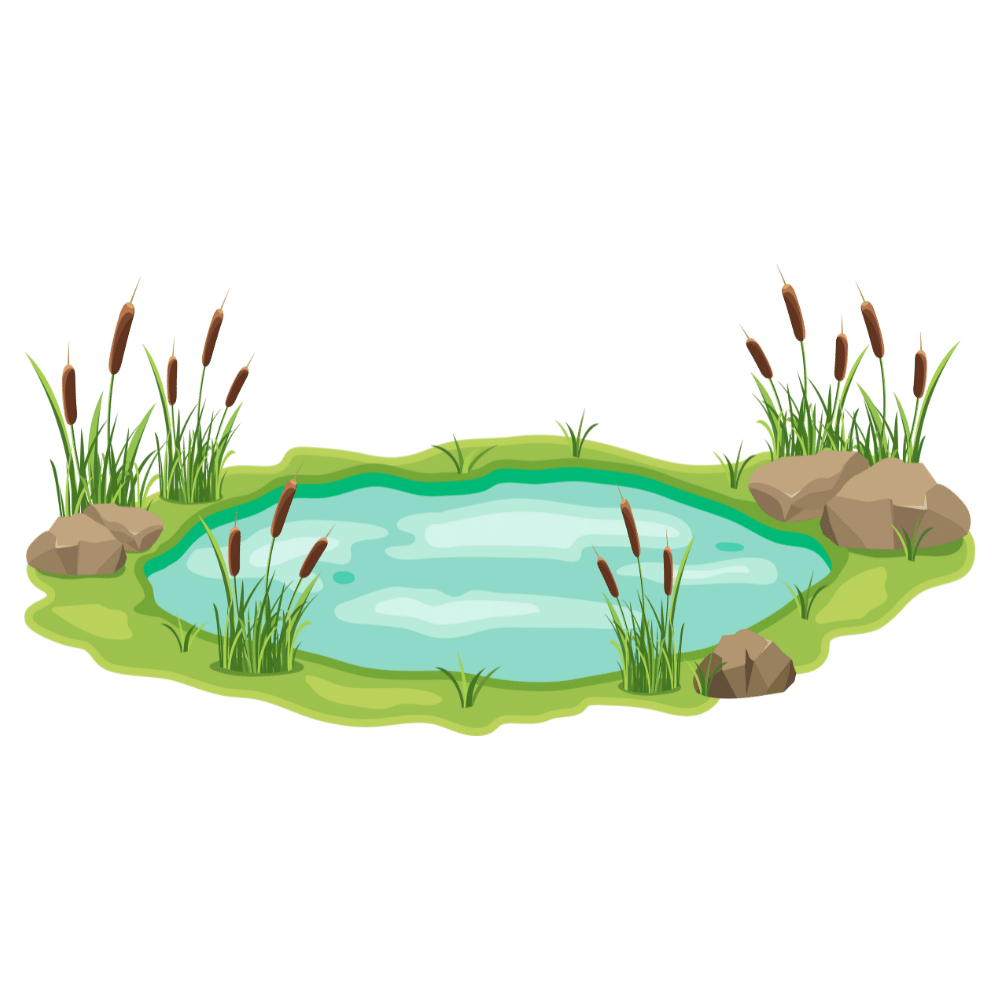 capybara habitat and living structure