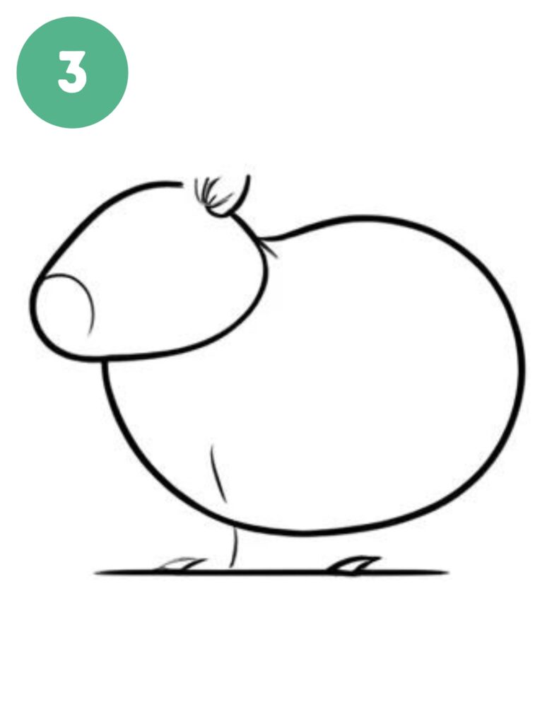 capybara drawing step 3