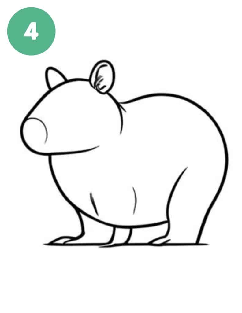 capybara drawing step 4