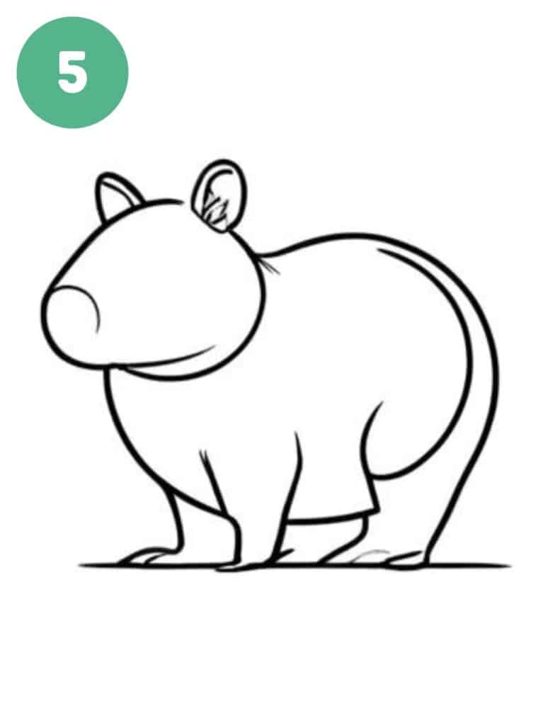 capybara drawing step 5