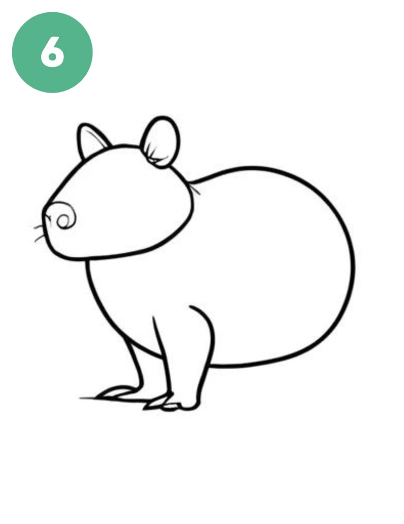 capybara drawing step 6