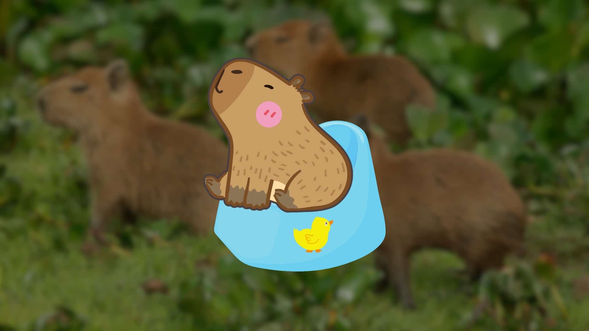 babay capybara sitting on baby pot doing potty training