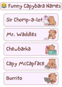 200+ Capybara Names | Cute, Funny and Perfect for Your Pet!